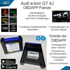 Audi e-tron GT 4J OBDAPP Flatrate